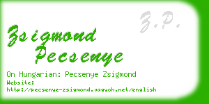 zsigmond pecsenye business card